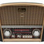 Радиоприемник Ritmix RPR-050 Gold
